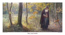 The Old Man And The Forest